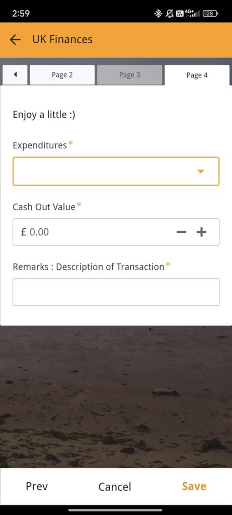 Boba Finances Form Page 3
